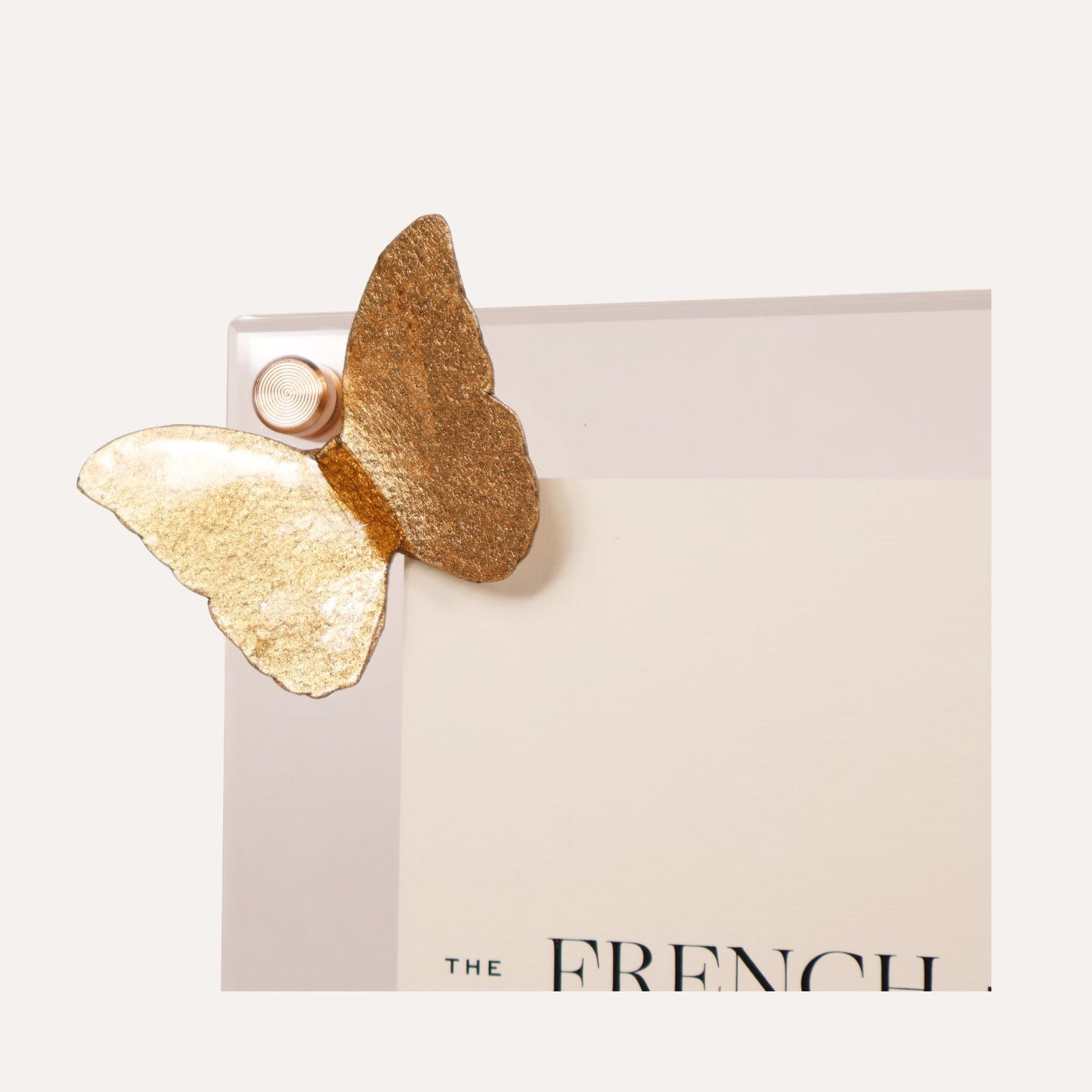 Butterfly Picture Frame