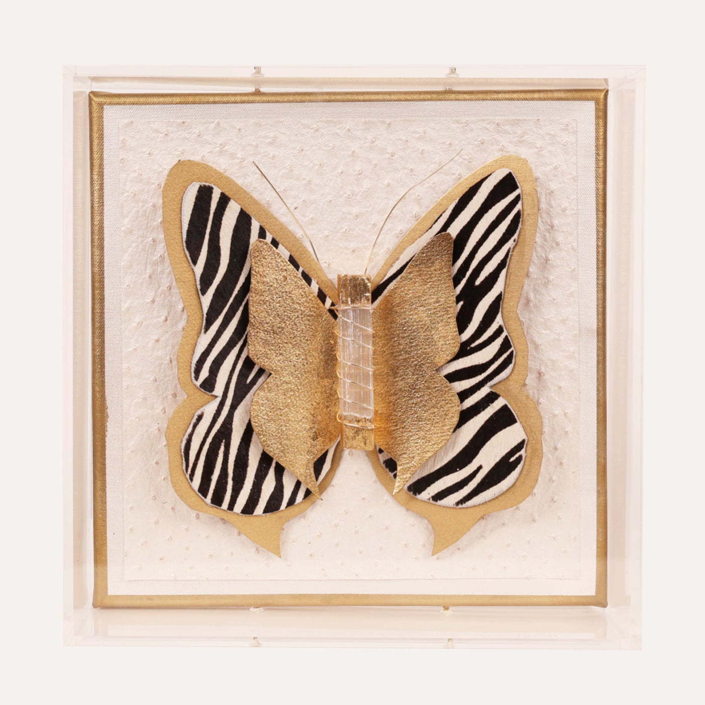 Zebra Butterfly Art