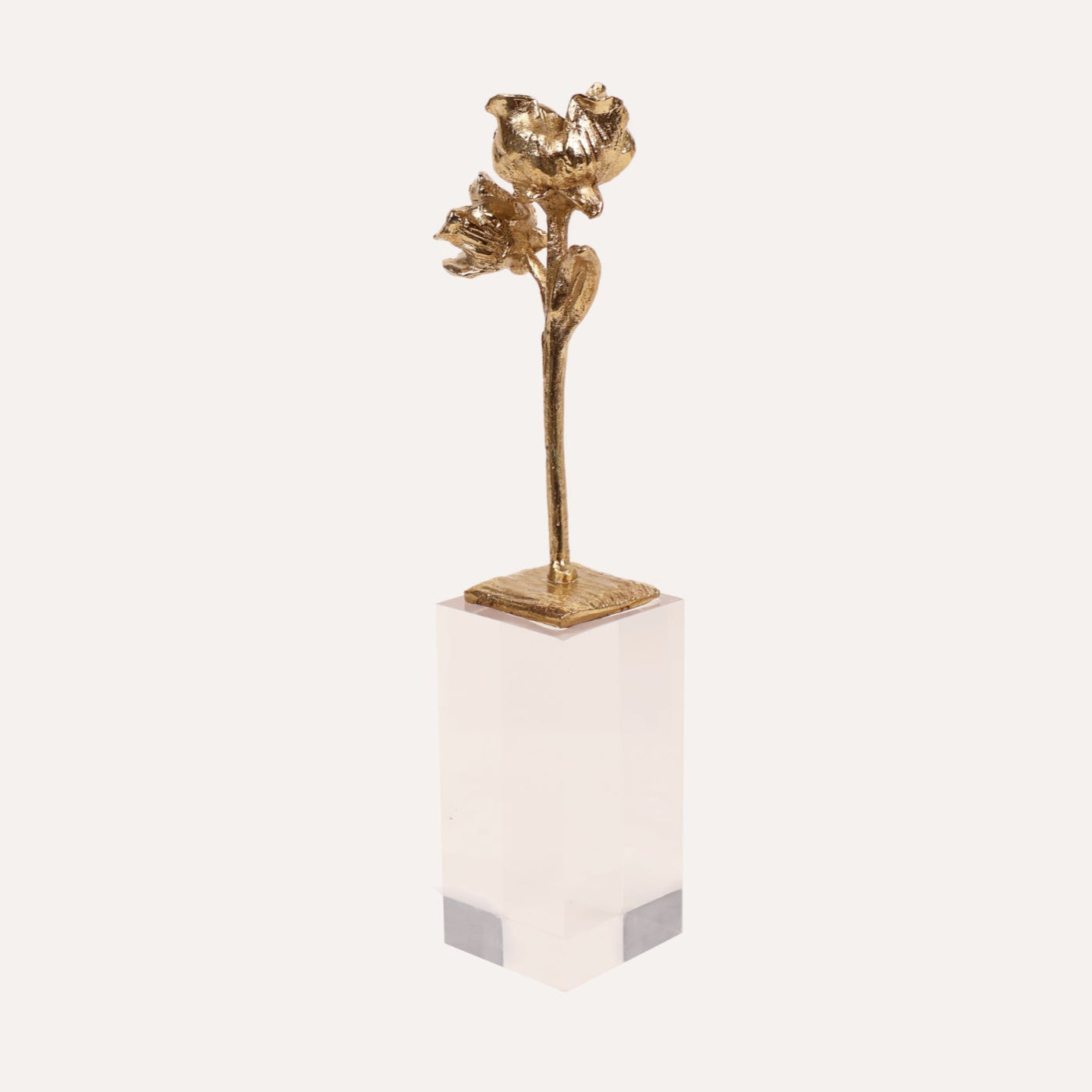 Brass Rose on Acrylic