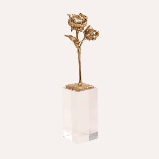 Brass Rose on Acrylic