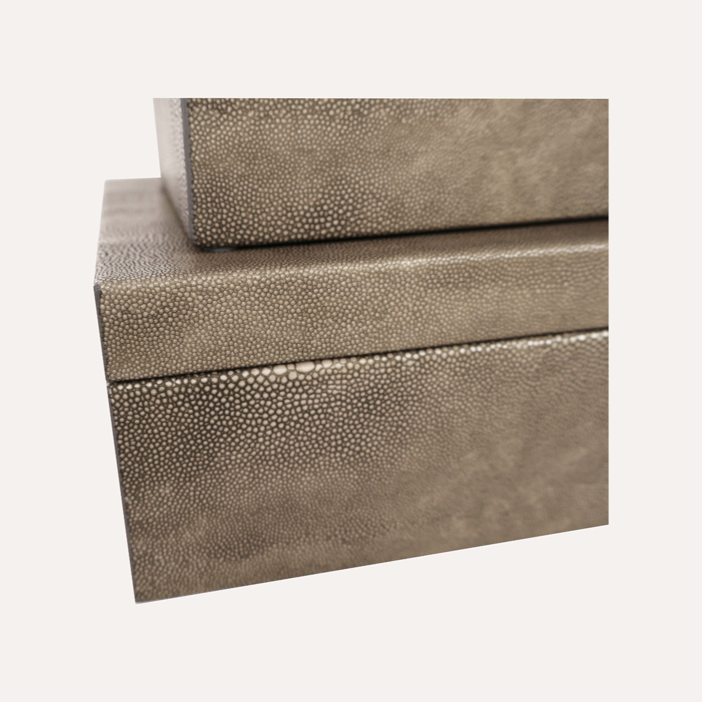 Grey Shagreen Box