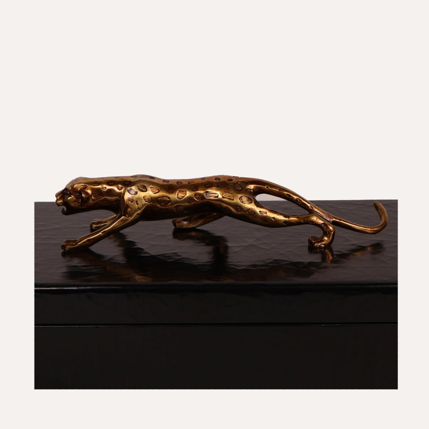 Black Cheetah Box