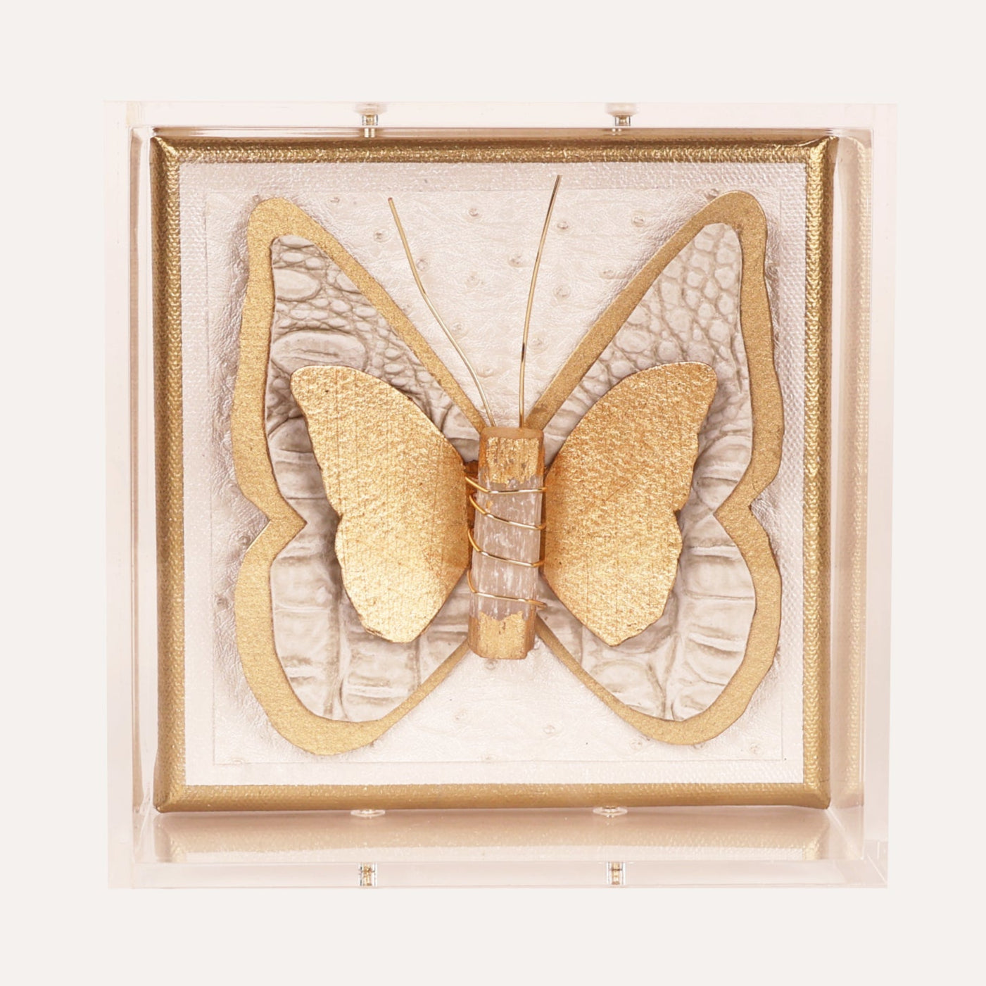 6x6 Croc Butterfly on Ostrich Background