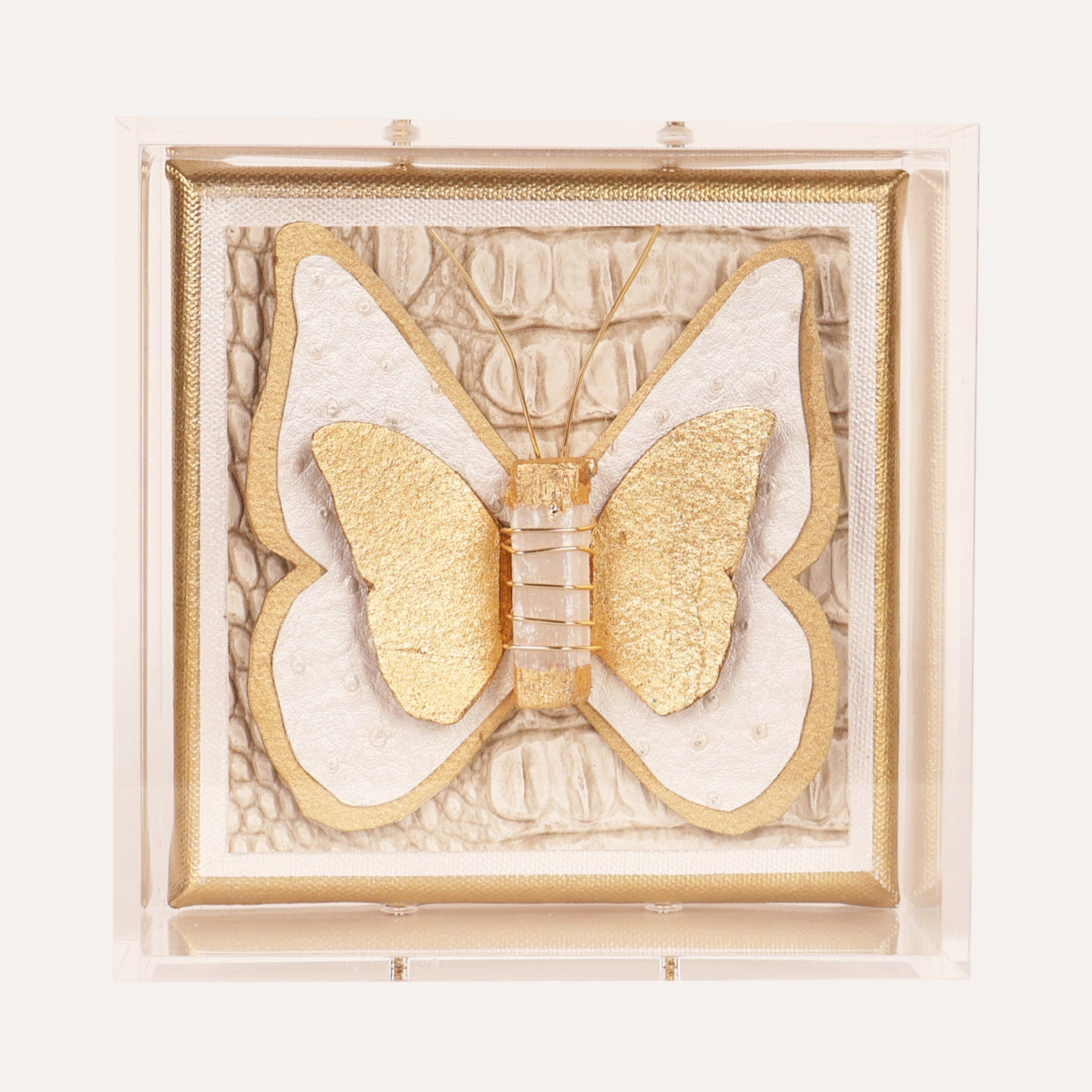 6x6 Ostrich Butterfly on Croc Background