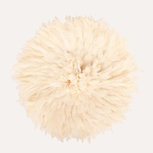 Feather Wall Art