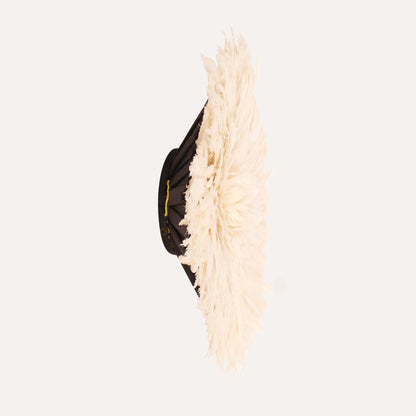 Feather Wall Art