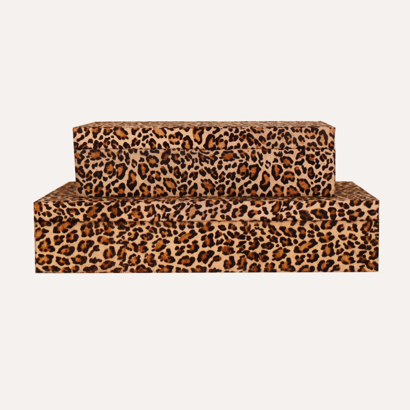 Cheetah Hair on Hide Box