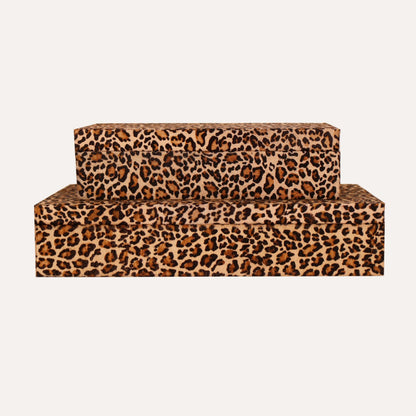Cheetah Hair on Hide Box