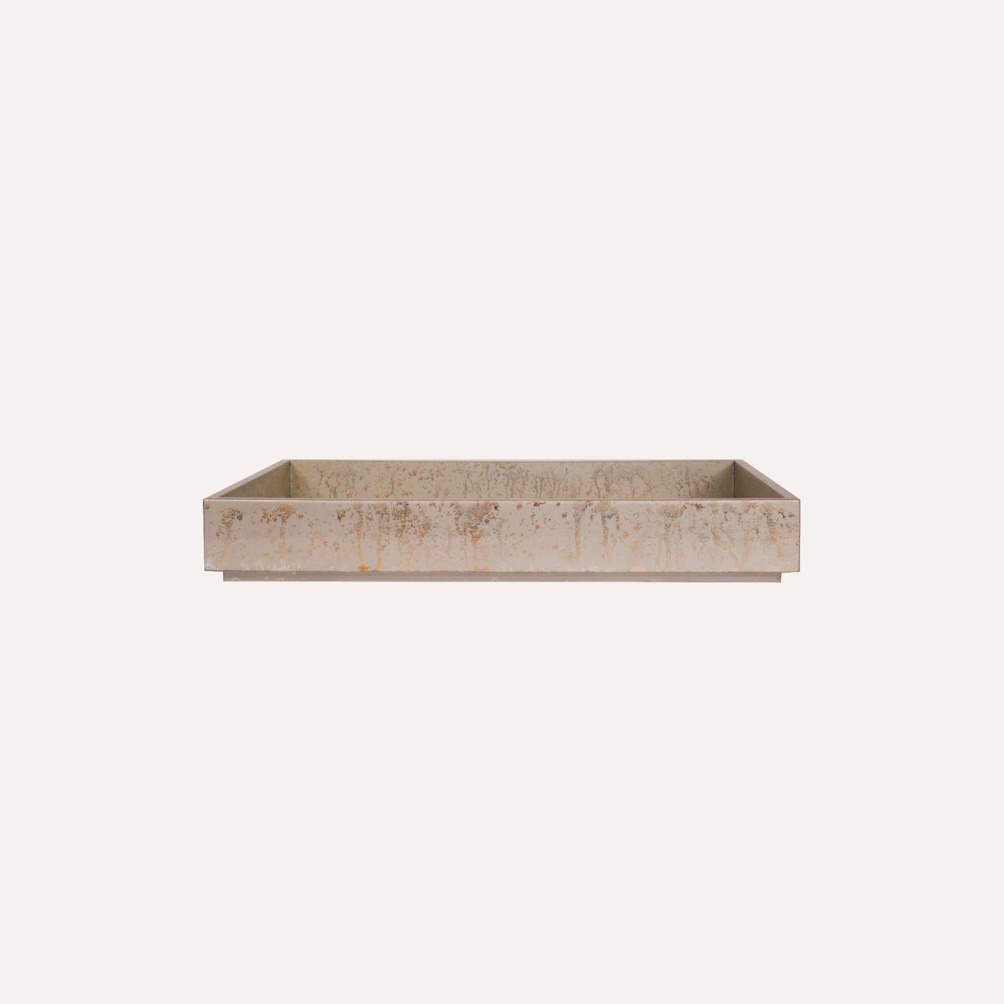 Champagne Silver Leaf Tray