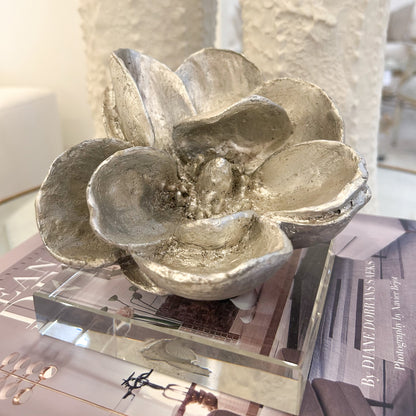 Magnolia on Crystal