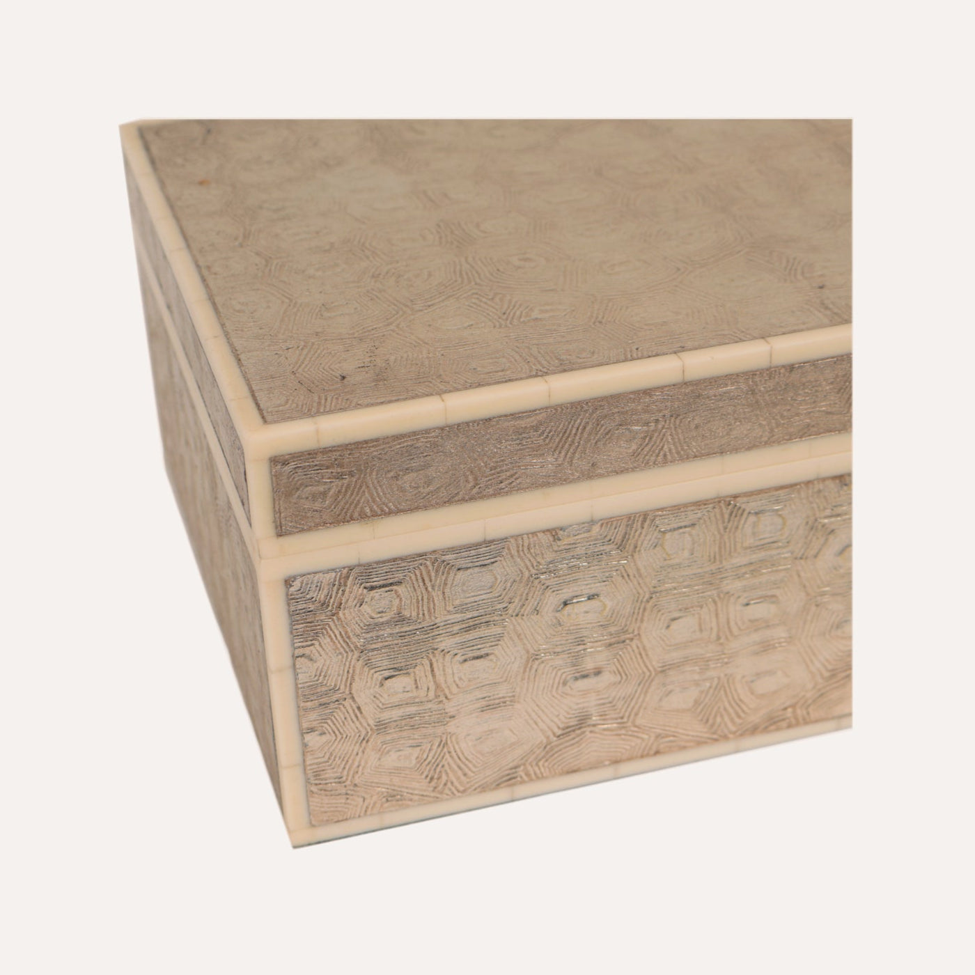 Metallic Tortoise Box