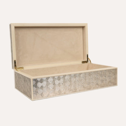 Metallic Tortoise Box