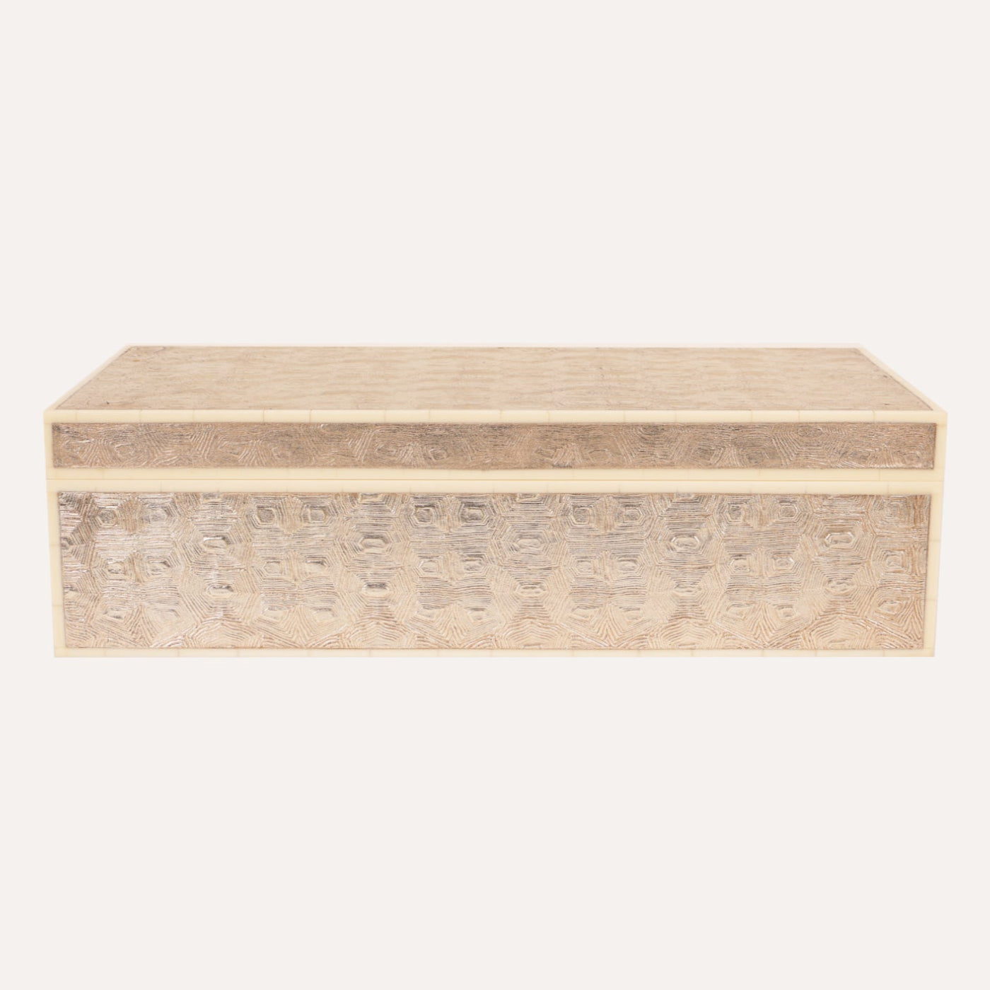 Metallic Tortoise Box