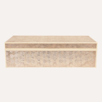 Metallic Tortoise Box