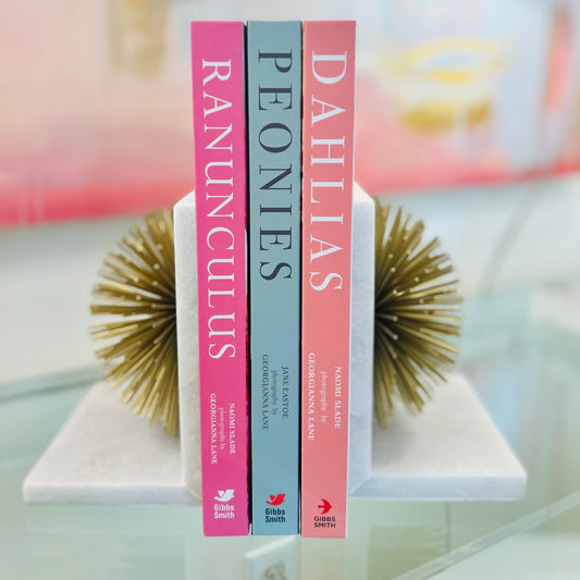 Marble Bookends with Brass Starburst Detail