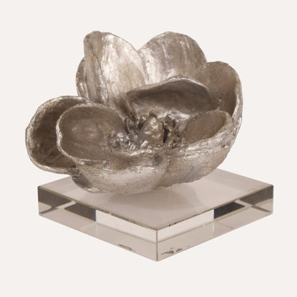 Magnolia on Crystal
