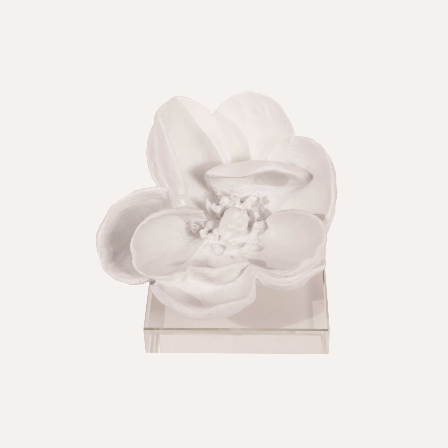 Magnolia on Crystal