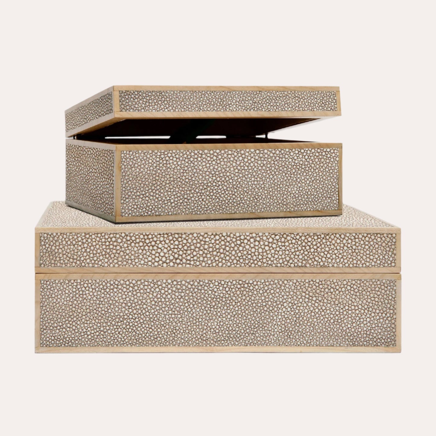 Shagreen/Wood Box